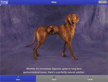 Tablet Screenshot of pro-kolin.com
